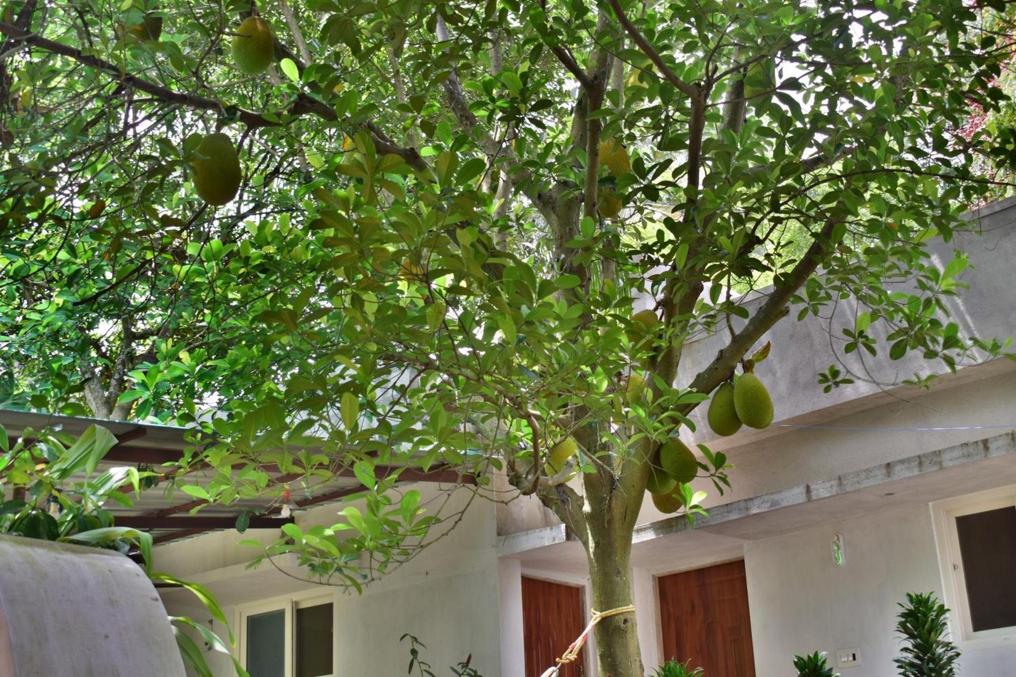 Silent Waters Resorts Yelagiri Exteriör bild