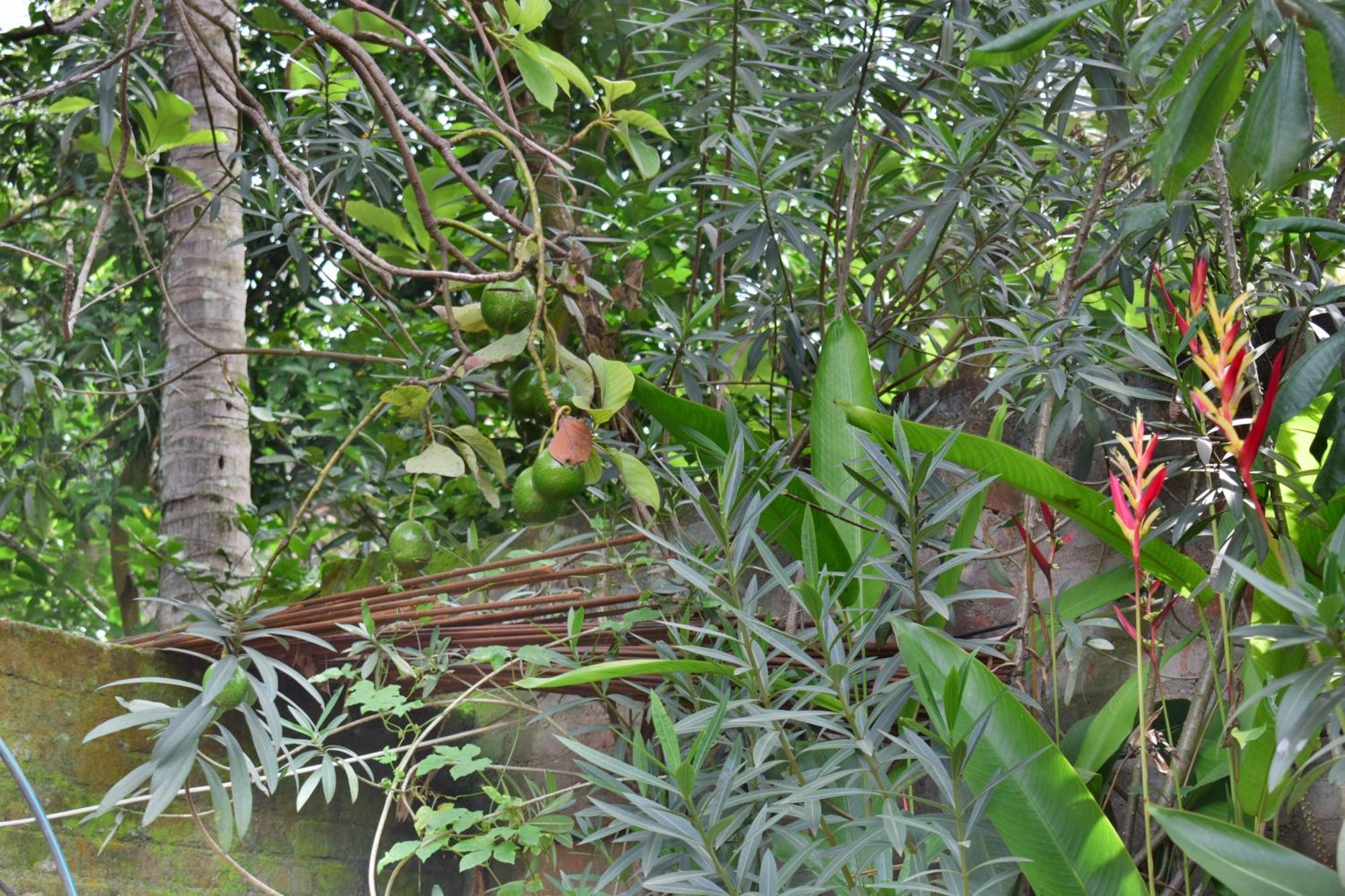 Silent Waters Resorts Yelagiri Exteriör bild