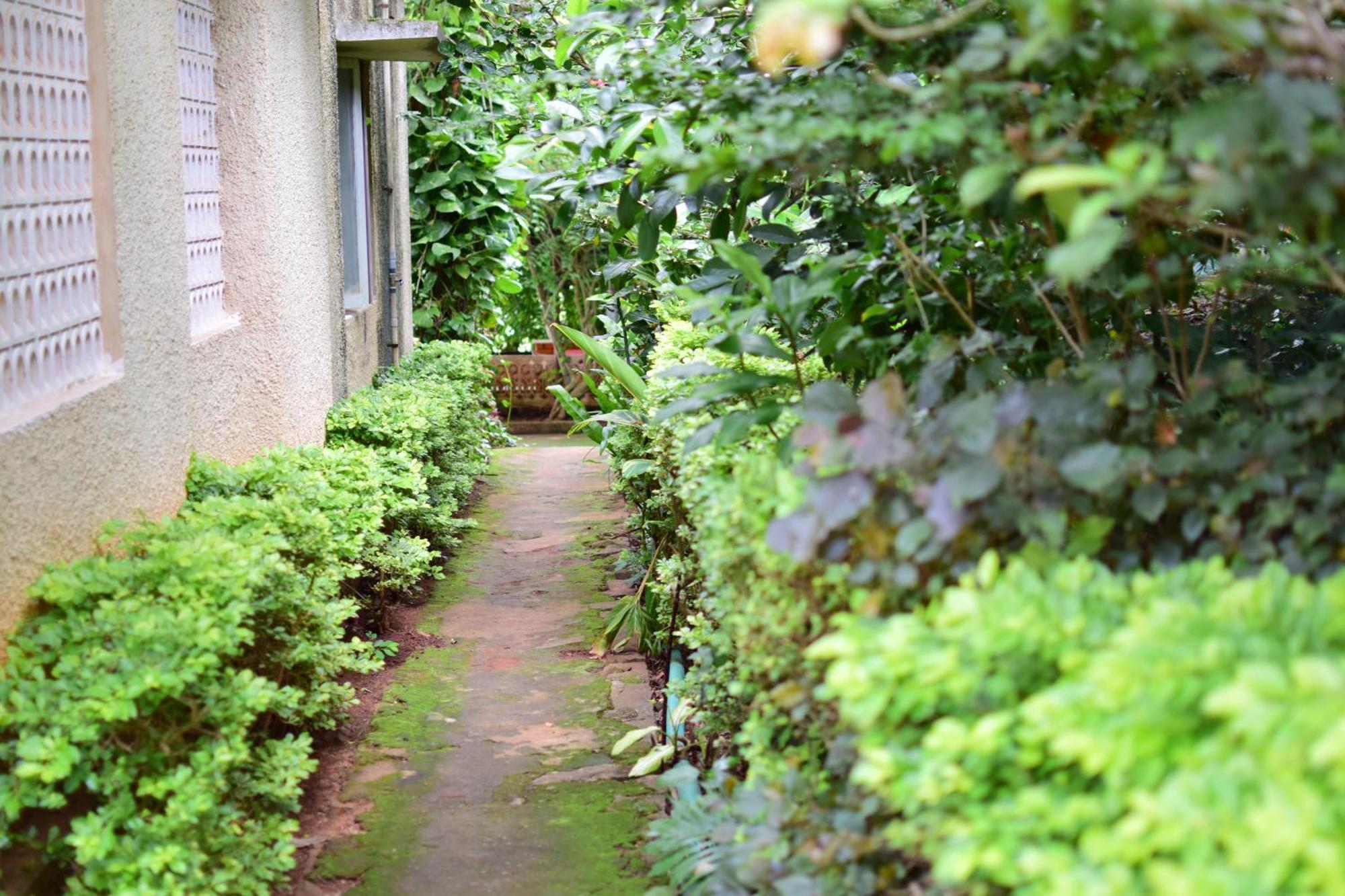 Silent Waters Resorts Yelagiri Exteriör bild