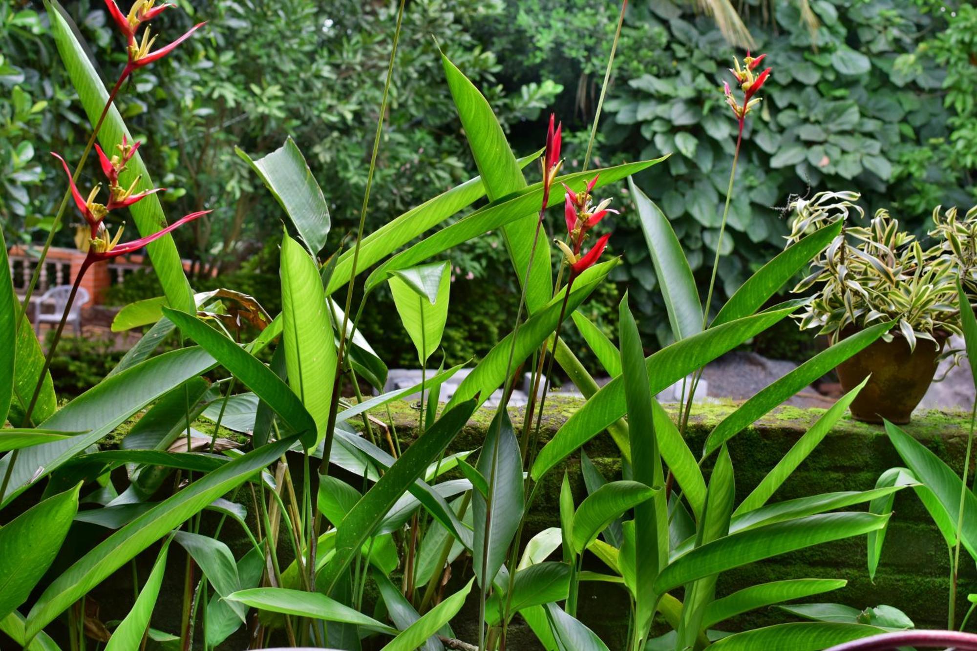 Silent Waters Resorts Yelagiri Exteriör bild