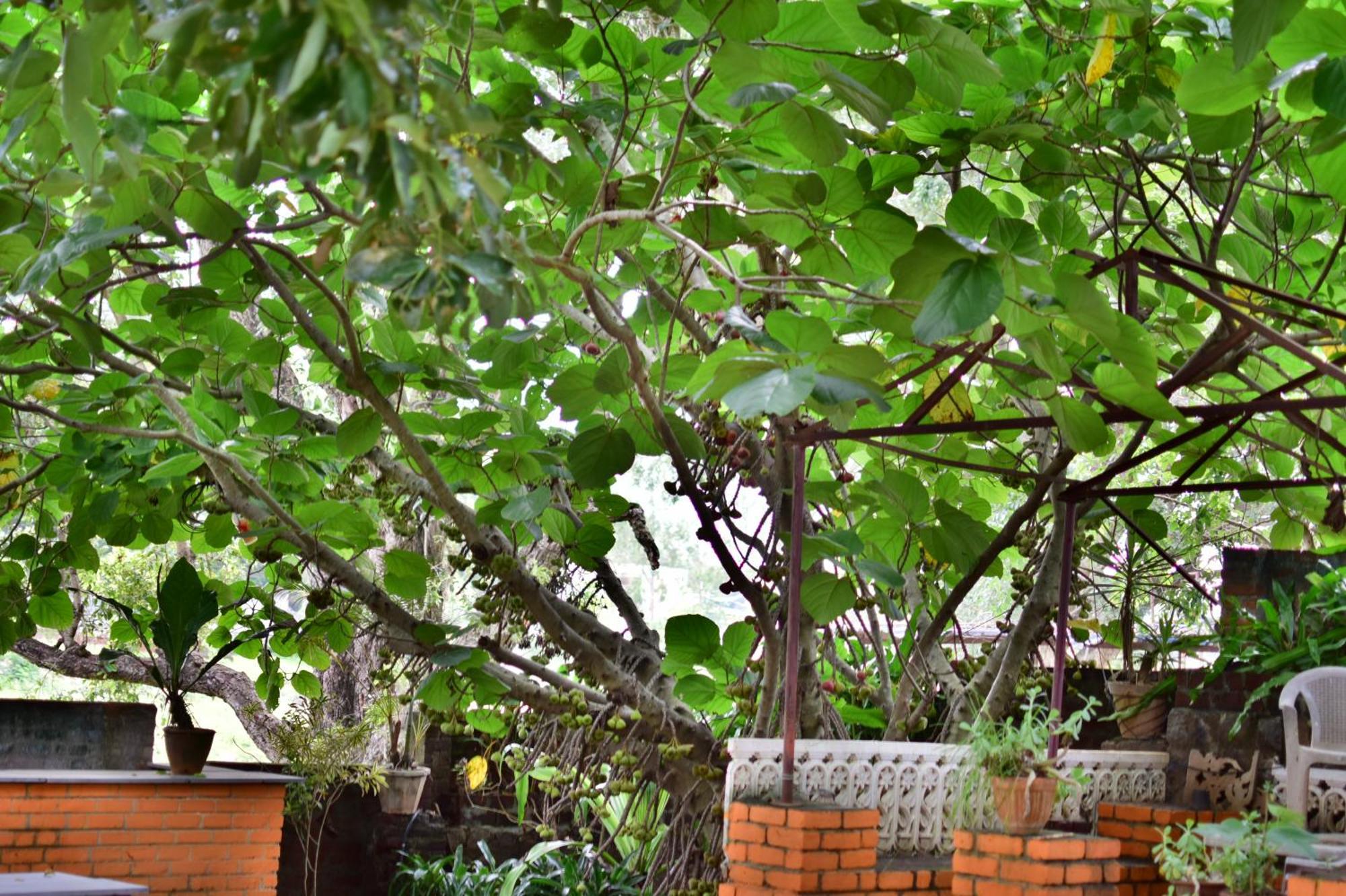 Silent Waters Resorts Yelagiri Exteriör bild