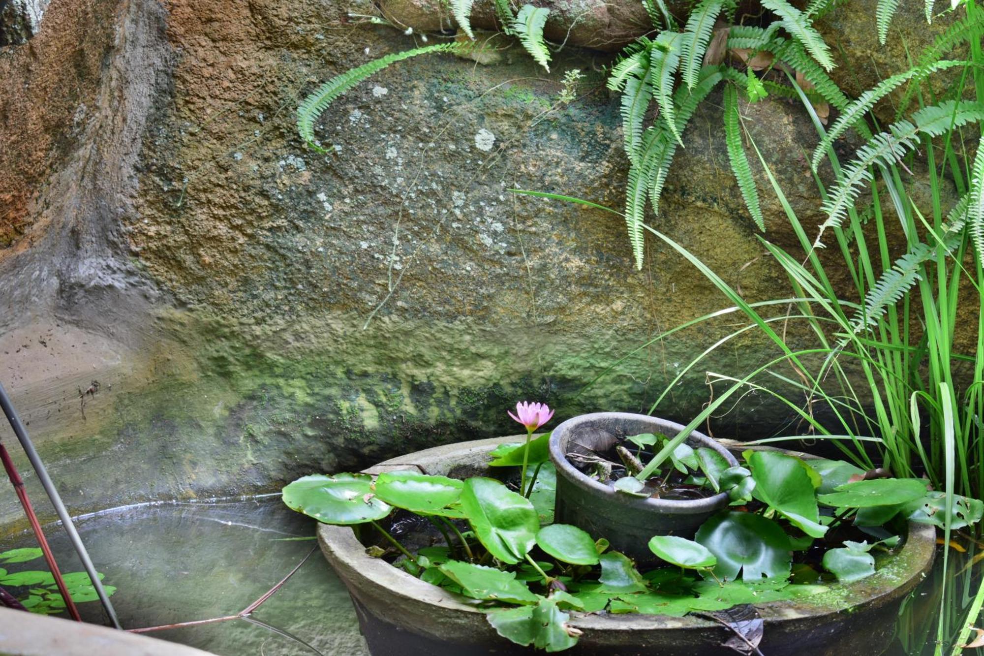 Silent Waters Resorts Yelagiri Exteriör bild