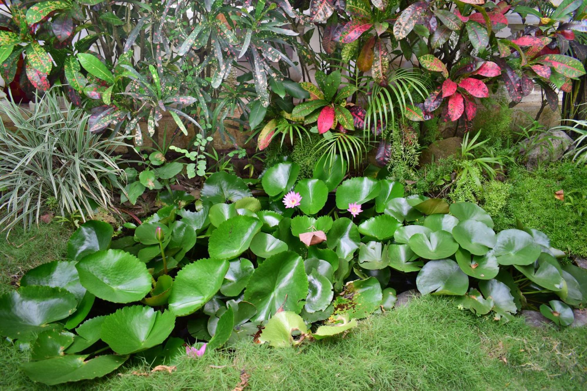 Silent Waters Resorts Yelagiri Exteriör bild